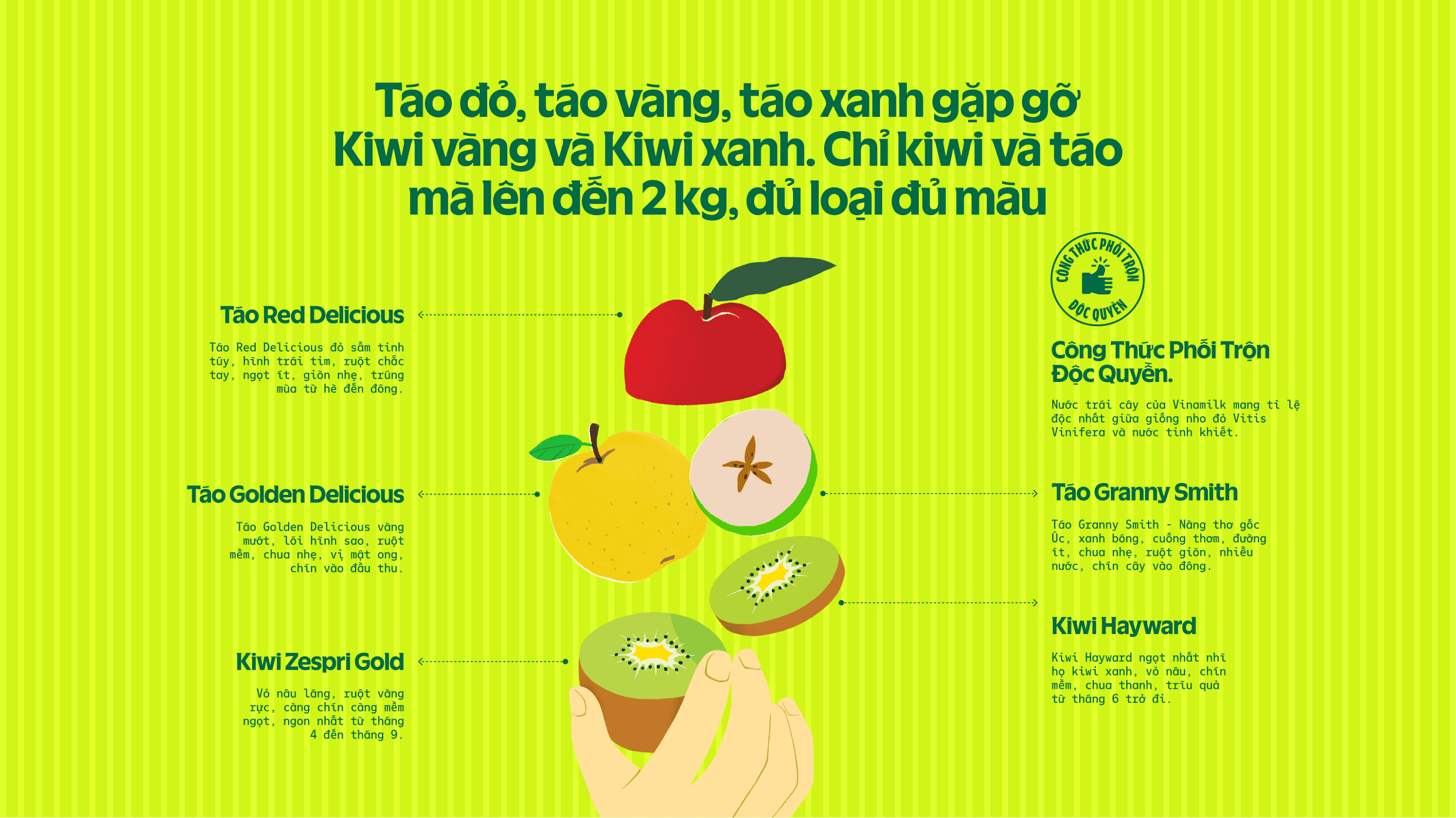 Product Info graphic