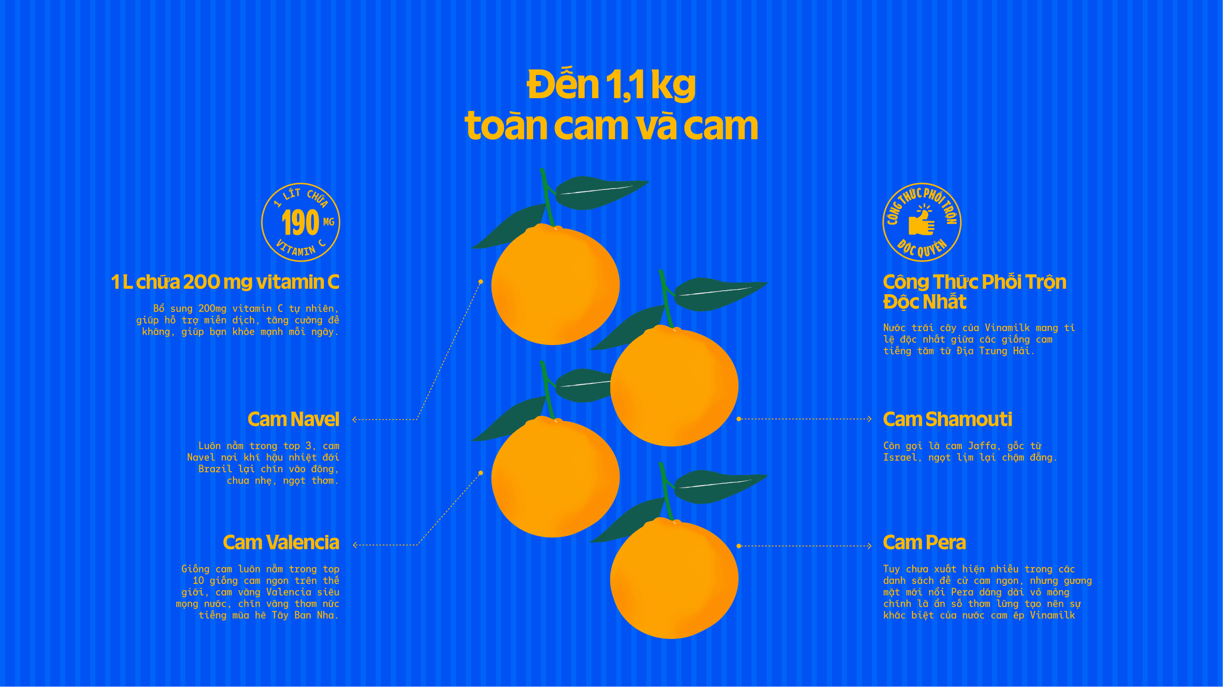 Product Info graphic