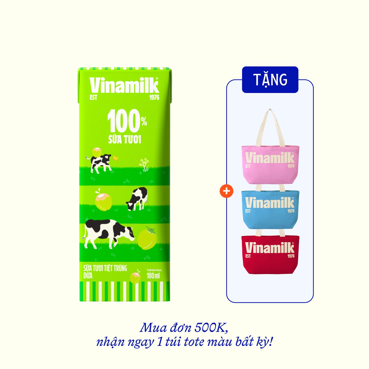 6 Lốc (24 hộp)