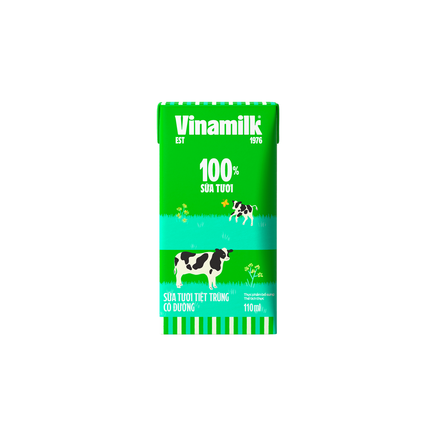 6 Lốc (24 hộp)